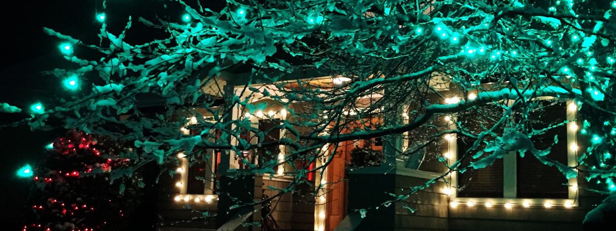 Christmas Lights Installation on Trees