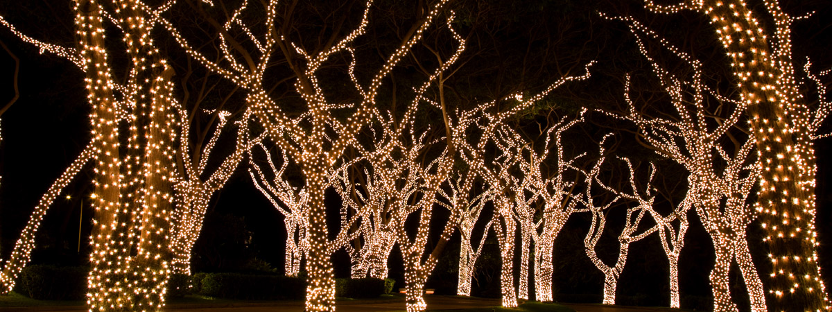 christmas-tree-light-installation